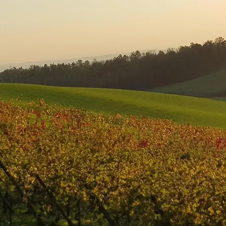 Nel Monferrato - Colle Manora Apartment