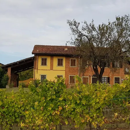 Mimosa - Relax In Jacuzzi Tra I Vigneti
