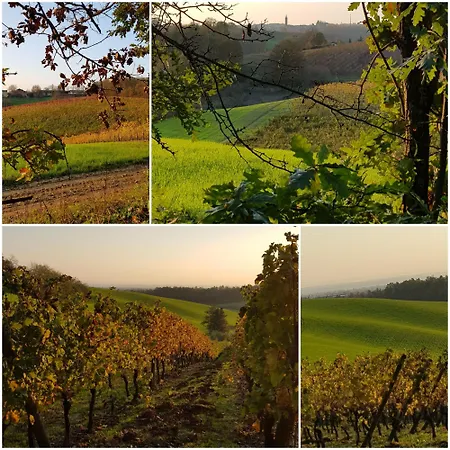 Mimosa - Relax In Jacuzzi Tra I Vigneti