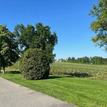 Апартаменты Mimosa - Relax In Jacuzzi Tra I Vigneti *