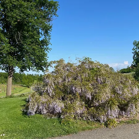 Nel Monferrato - Colle Manora * Fubine