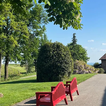 Mimosa - Relax In Jacuzzi Tra I Vigneti Apartamento Quargnento
