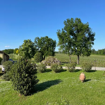 Mimosa - Relax In Jacuzzi Tra I Vigneti Lägenhet *