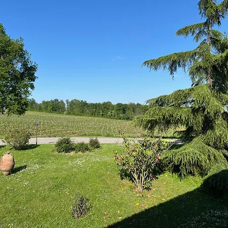 Апартаменты Mimosa - Relax In Jacuzzi Tra I Vigneti Quargnento