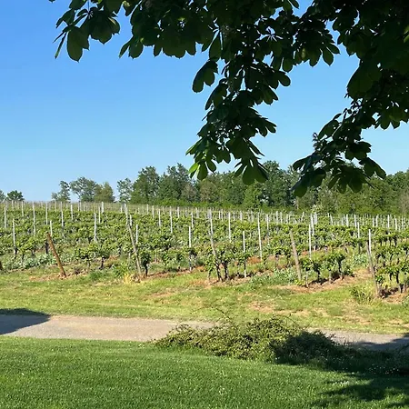 Apartamento Mimosa - Relax In Jacuzzi Tra I Vigneti Quargnento