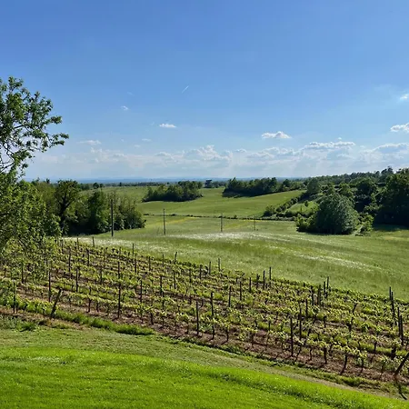 Mimosa - Relax In Jacuzzi Tra I Vigneti *