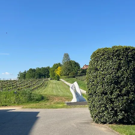 Apartmán Mimosa - Relax In Jacuzzi Tra I Vigneti *