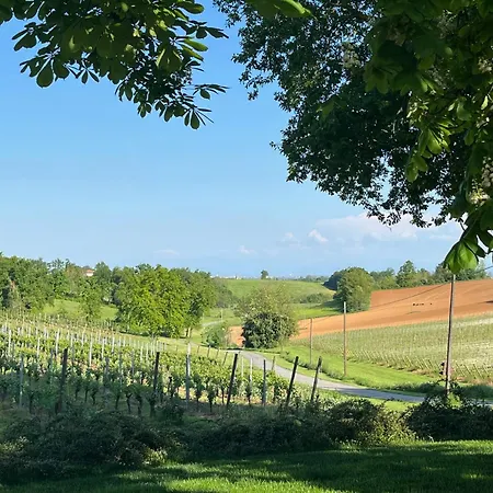 Apartamento Mimosa - Relax In Jacuzzi Tra I Vigneti Quargnento