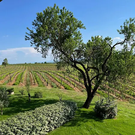 Mimosa - Relax In Jacuzzi Tra I Vigneti Quargnento