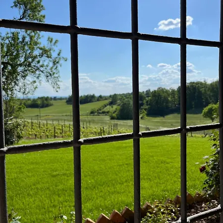 Lägenhet Mimosa - Relax In Jacuzzi Tra I Vigneti