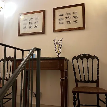 Mimosa - Relax In Jacuzzi Tra I Vigneti * Quargnento