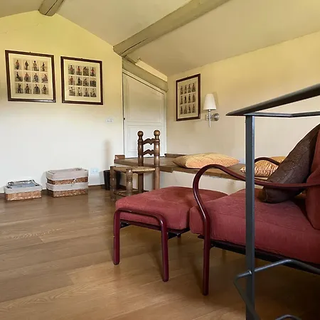 Mimosa - Relax In Jacuzzi Tra I Vigneti Apartamento *