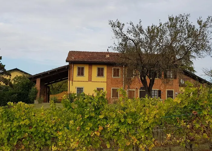 Mimosa - Relax In Jacuzzi Tra I Vigneti