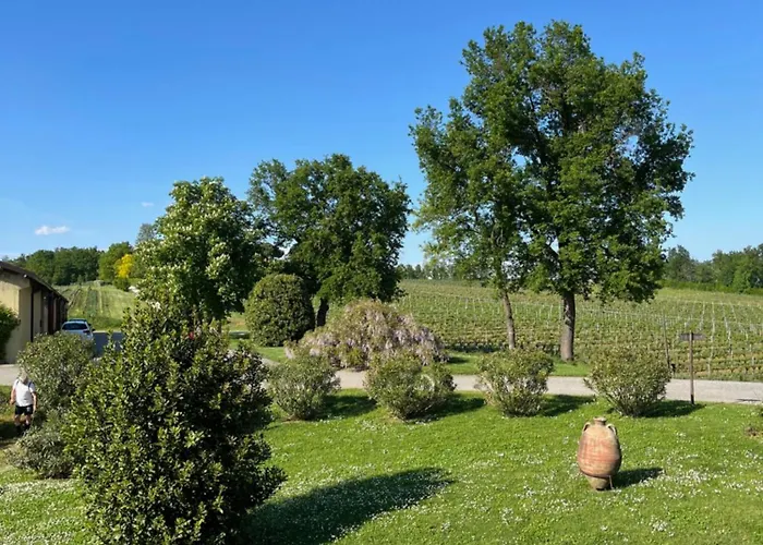Mimosa - Relax In Jacuzzi Tra I Vigneti Appartamento *