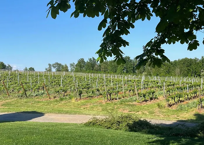 Appartamento Mimosa - Relax In Jacuzzi Tra I Vigneti Quargnento