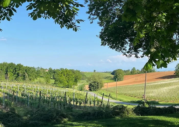 アパート Mimosa - Relax In Jacuzzi Tra I Vigneti Quargnento