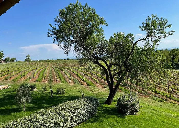 Mimosa - Relax In Jacuzzi Tra I Vigneti Quargnento